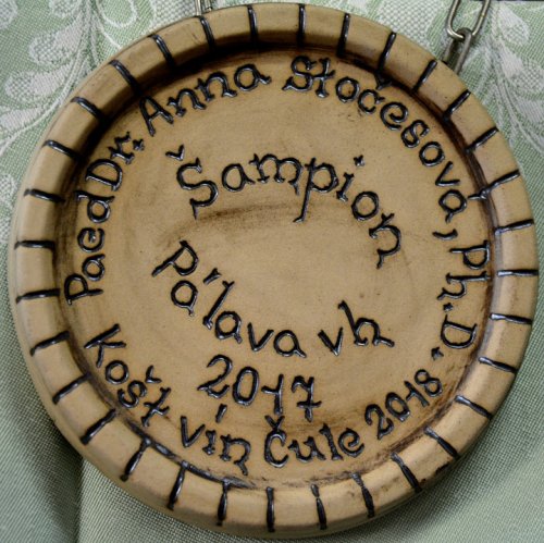 KVALITNÍ VÍNO za 150